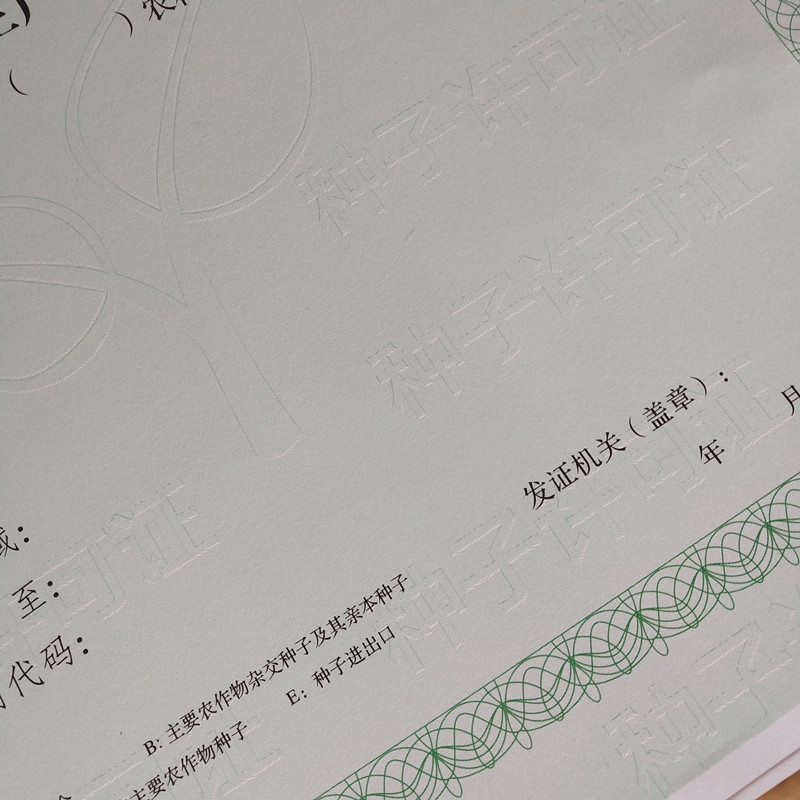 南陵縣專版水印營業(yè)執(zhí)照印刷廠家工廠認證