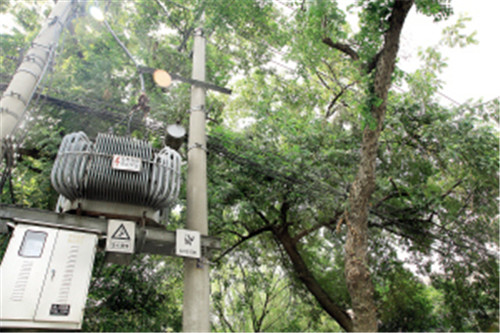 800KVAS13變壓器廠家本地供應(yīng)商
