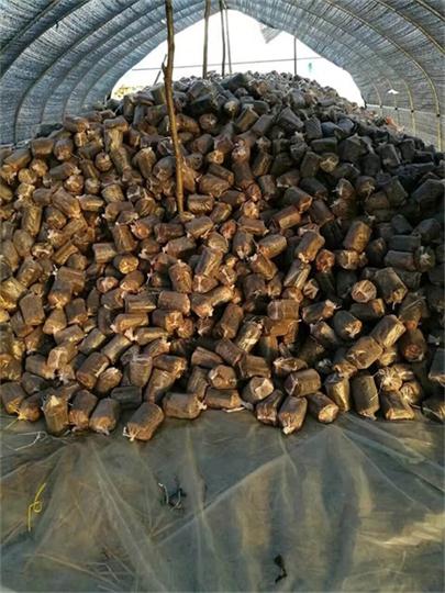 靈芝破壁孢子粉口味源頭廠家